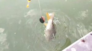 Рыбалку на удалёнке придумали в Казахстане