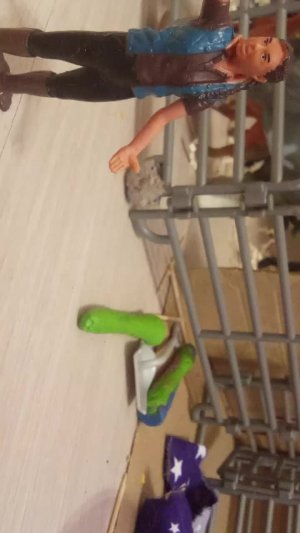 Полина покупает себе лошадь на деньги которые дала мама