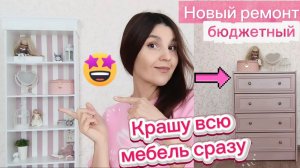 Затеяла новый быстрый ремонт/Дешевый стеллаж не узнать/2 баночки краски и перекрасила всю мебель