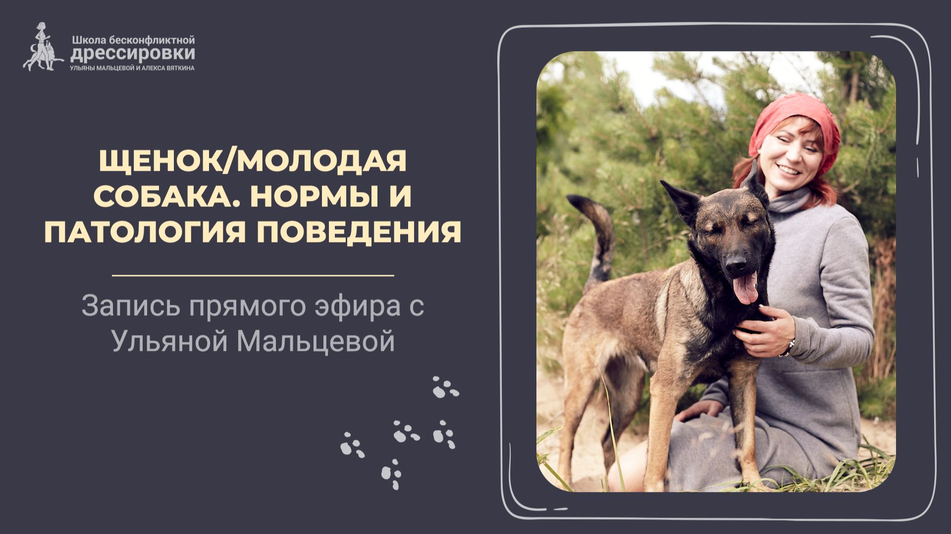 Щенок/Молодая собака. Норма и патология поведения смотреть онлайн