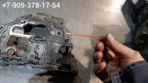 Газель Камминз, когда всё не так как думаешь