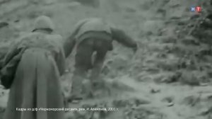 ДНЕВНИКИ БЕСКОЗЫРКИ