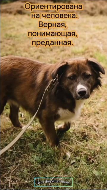 Я создана для человека