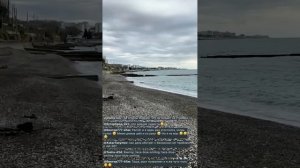 ХОСТА! СОЧИ! Онлайн 🌊🌴31 января