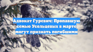 Адвокат Гуревич: пропавшую семью Усольцевых могут признать погибшей в марте