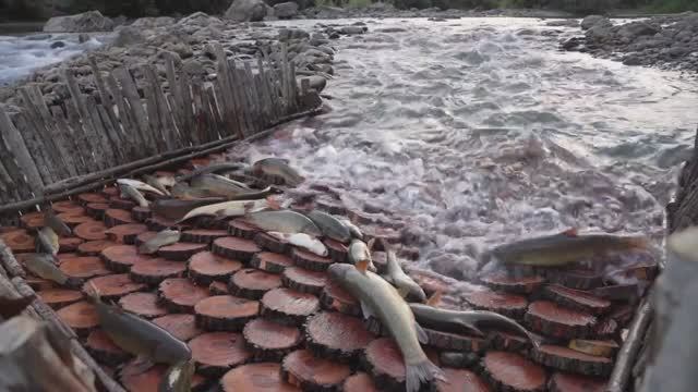 Рыбные ловушки / Невероятная Рыбалка / Необычные методы лова рыбы ! смотреть онлайн