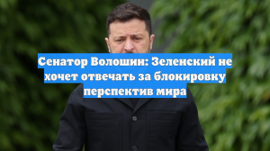 Сенатор Волошин: Зеленский не хочет отвечать за блокировку перспектив мира