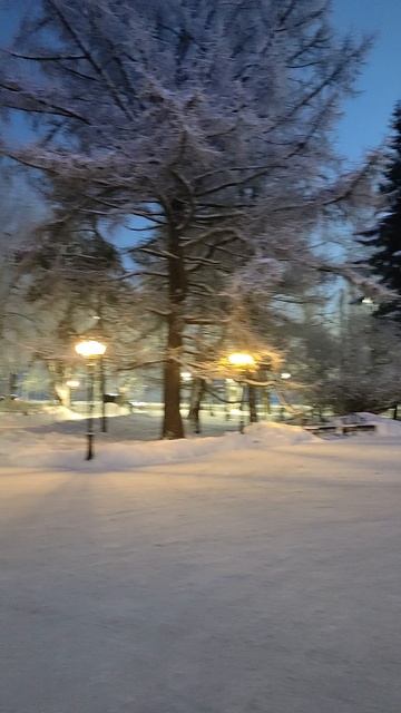 САФУ - здесь я учусь смотреть онлайн