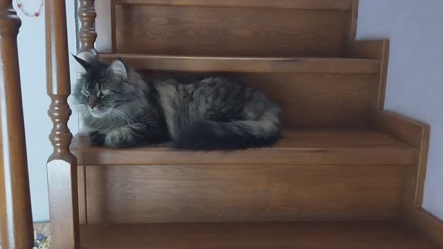 ❗️Общаюсь с тем , с кем хочу‼️ смотреть онлайн