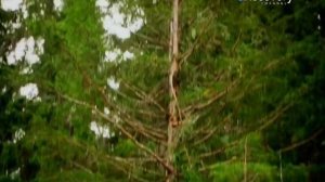 Золотая лихорадка 2 сезон 7 серия (реалити-шоу, 2012)