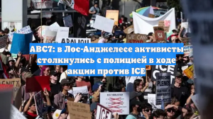 ABC7: в Лос-Анджелесе активисты столкнулись с полицией в ходе акции против ICE