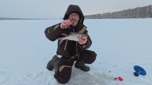 На ОКЕ рыбы нет, но мы её ЛОВИМ.