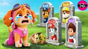 Щенячий патруль и Маршалл. Залипательное видео. Мультфильм для детей и малышей. Анимация 154