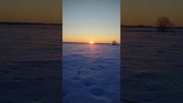 Закат в поле смотреть онлайн