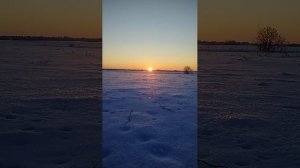 Закат в поле