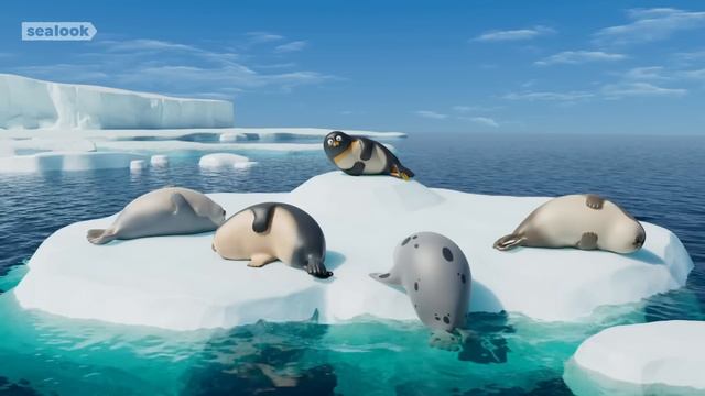Мультфильм Взгляд Тюленя (Sealook). Ты вот-вот заснешь. Серия 3 смотреть онлайн