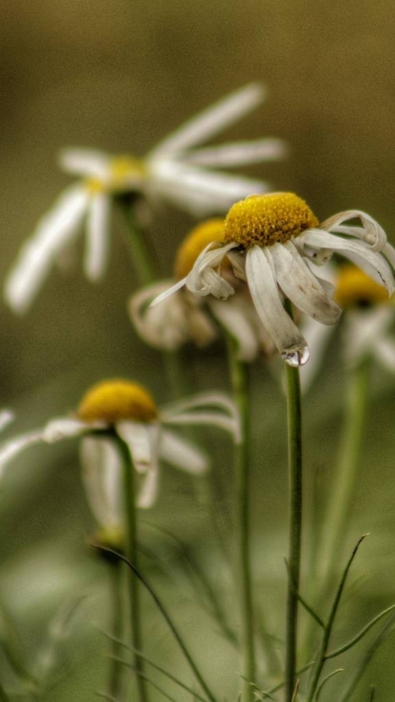 Эх, сейчас бы эти тёплые деньки смотреть онлайн