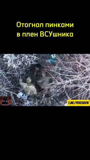 Наш боец отогнал пинками в плен ВСУшника смотреть онлайн