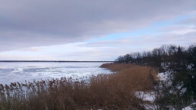 1000005485.mp4 смотреть онлайн