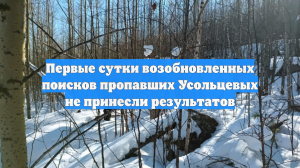 Первые сутки возобновленных поисков пропавших Усольцевых не принесли результатов