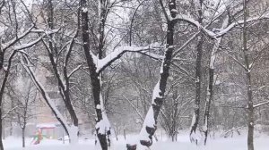 Аномально мощный снежный покров в январе. Зима прекрасна, пушистый снег превращают мир в сказку .