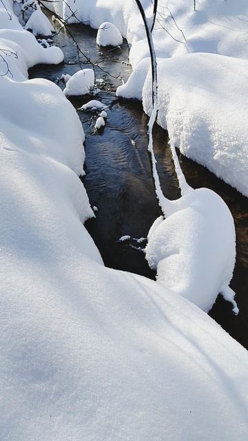 Живые картины русской природы 11 смотреть онлайн