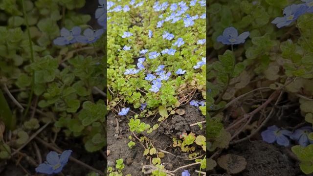 31-01-2026 смотреть онлайн