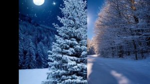 Зимняя тишина