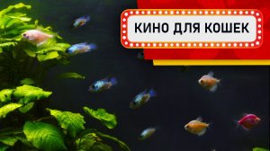 Видео для Кошек - Большой зеленый аквариум (Развлеки своего кота)