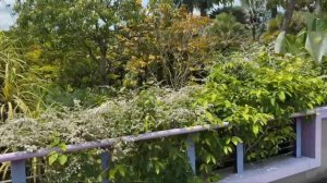 Прогулка по Сингапуру