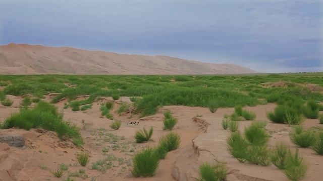 Дороги Монголии смотреть онлайн