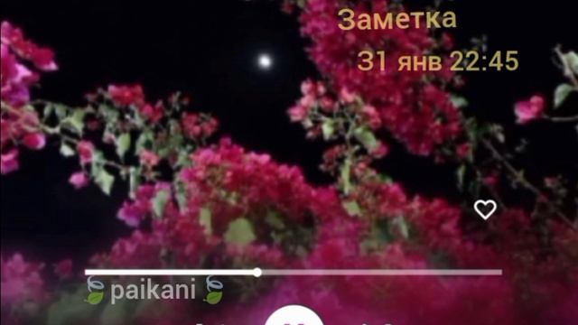 типа цыганская песня новая 2026 года новая 🍃🔱 смотреть онлайн