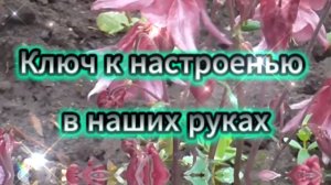 Ключ к настроению в наших руках...Весёлая инструментальная музыка