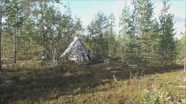 Лес, чум, медведи, ягоды, грибы и прочее. 02.09.23. смотреть онлайн