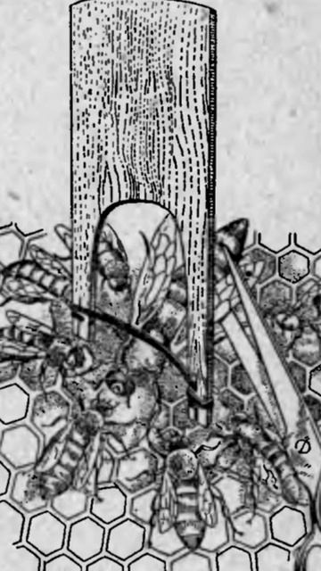 ЛАЙФХАК ИЗ ПРОШЛОГО. ВИЛОЧКА ДЛЯ  МАТОК