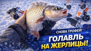 ПОЕХАЛ ПРОВЕРЯТЬ ЖЕРЛИЦЫ — ПОПАЛСЯ ТРОФЕЙНЫЙ ГОЛАВЛЬ!