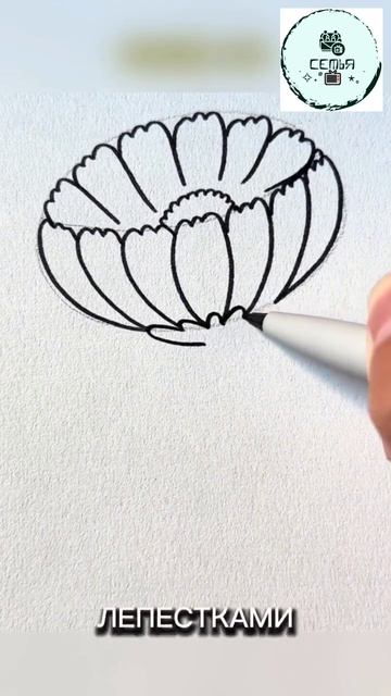 РИСУЕМ НЕОБЫЧНЫЙ ЦВЕТОК УРОКИ РИСОВАНИЯ смотреть онлайн