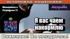 Мошенники звонят по телефону _ Я вас чаем накормлю ( сборник ).