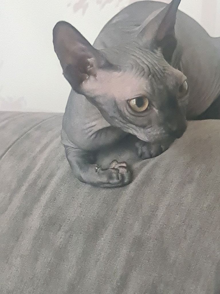 милашка смотреть онлайн