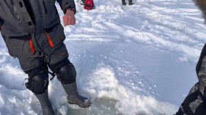 copy_8DEF309F-D43A-4957-942E-C062E3B17B66