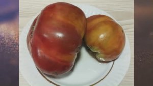 Каталог томатов на 2026 год. Часть 15. г. Киров. т.  89229284031