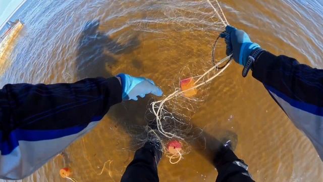 ЦАРСКИЕ РЫБЫ НЕЛЬМА. ЧИР, МУКСУН ЛОВИМ! смотреть онлайн