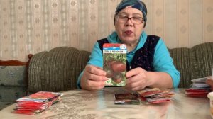 2 часть. Продолжаю рассказывать о томатах, выращенными 2025 году.