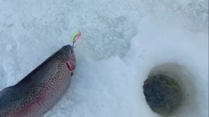 Морозное утро на Спорт-зоне. Клёвое место Лосиный остров.