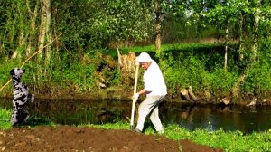 Работы в огороде ( Архив )