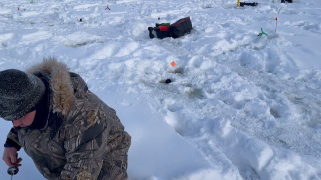 Небольшой видеоотчет с водоёма смотреть онлайн