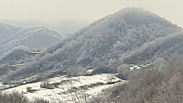 Самый самый зимний день. смотреть онлайн