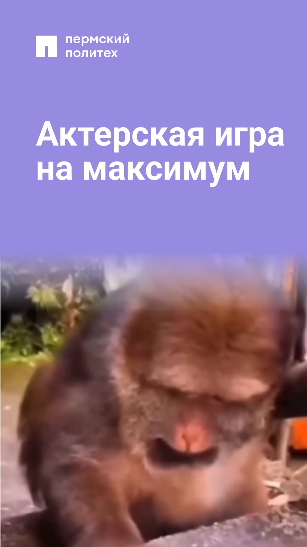 Актерская игра на максимум смотреть онлайн