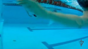 В Тольятти прошел чемпионат Приволжского округа Росгвардии по военно-спортивному многоборью