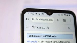 В Госдуме допустили частичную блокировку "Википедии" в ближайшие пару лет